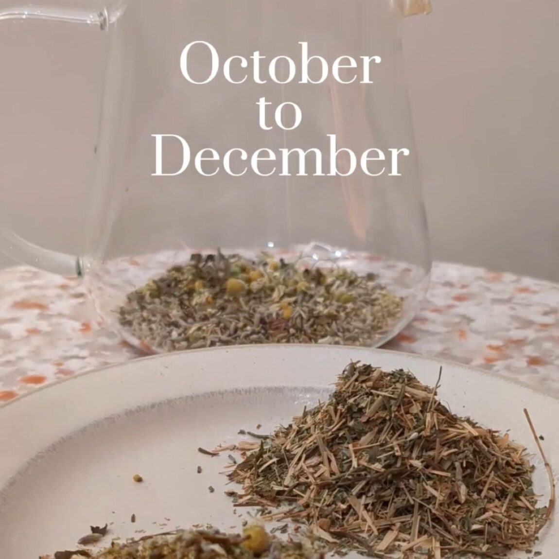 冬のはじまりに、ハーブのスチームで整う。