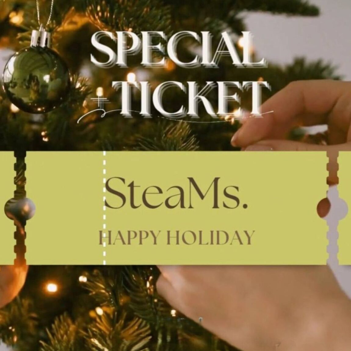 SteaMs. SPECIAL TICKET FAIR 12/5(金)–12/31(水)